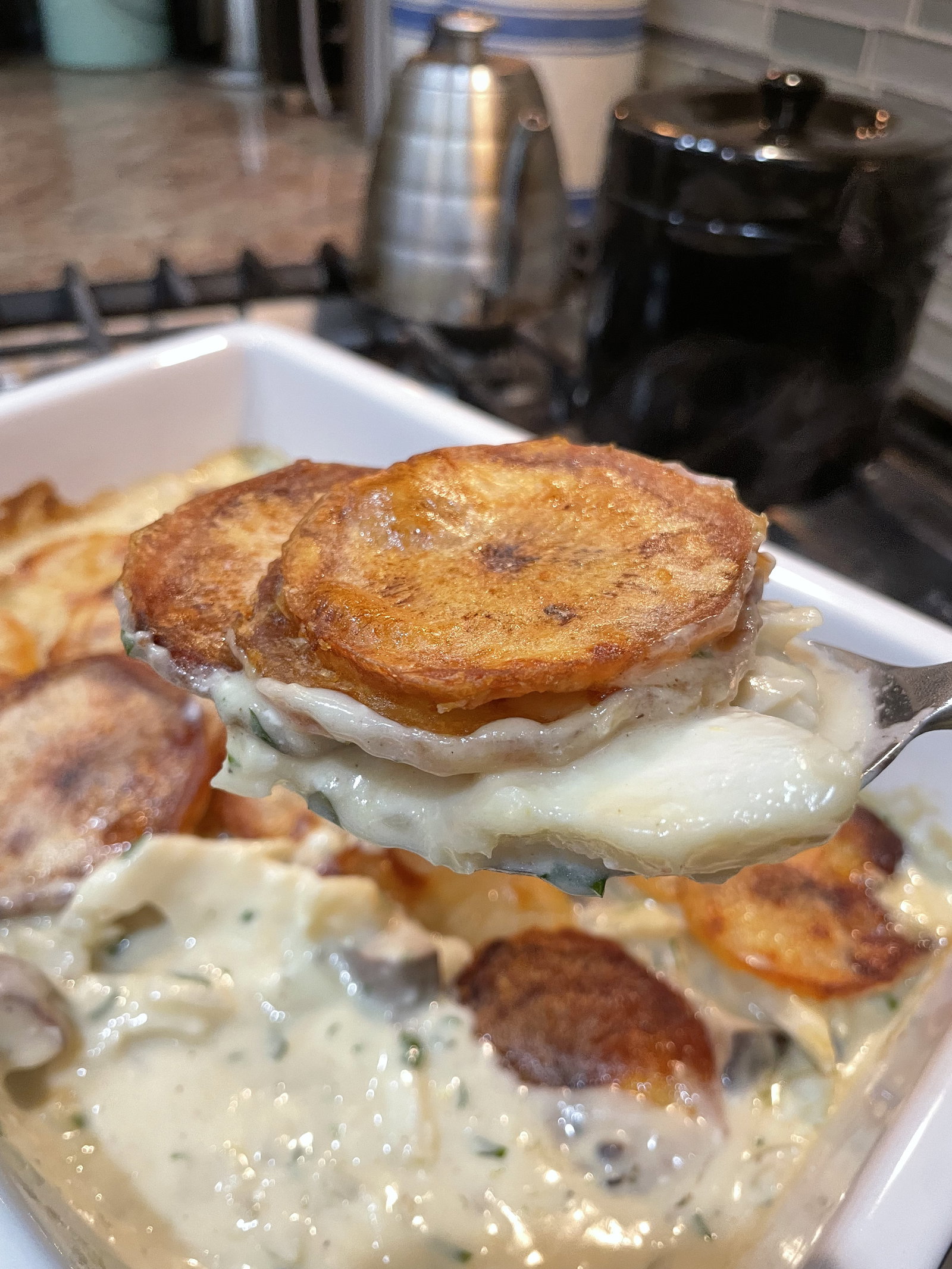 Image of Fish and Chip Pie