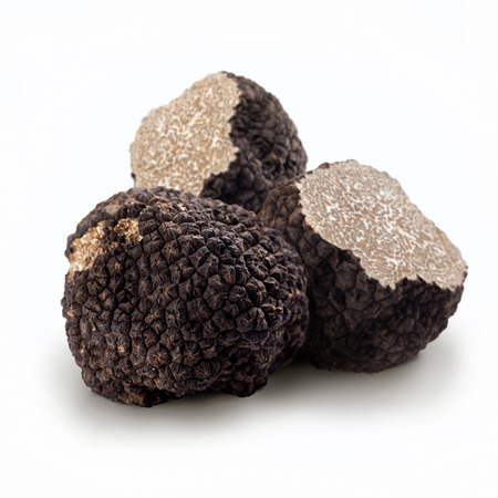 black truffle.jpg