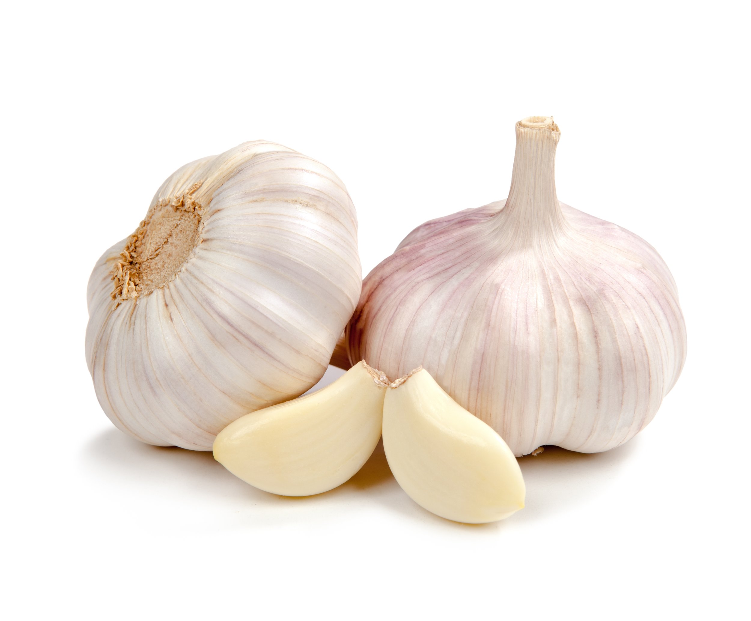 garlic-01.jpg