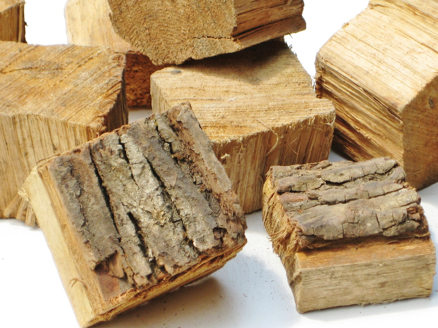 hickory 2.jpg